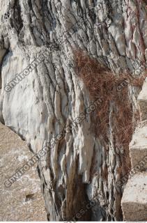 Photo Texture of Rock 0056